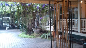 The museum of floral culture